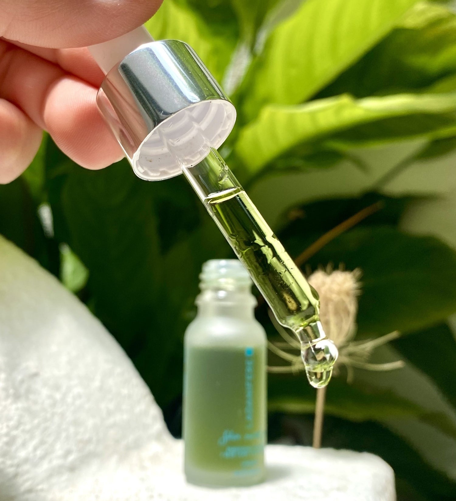 Energising Vitamin C & Blue Tansy Facial Serum