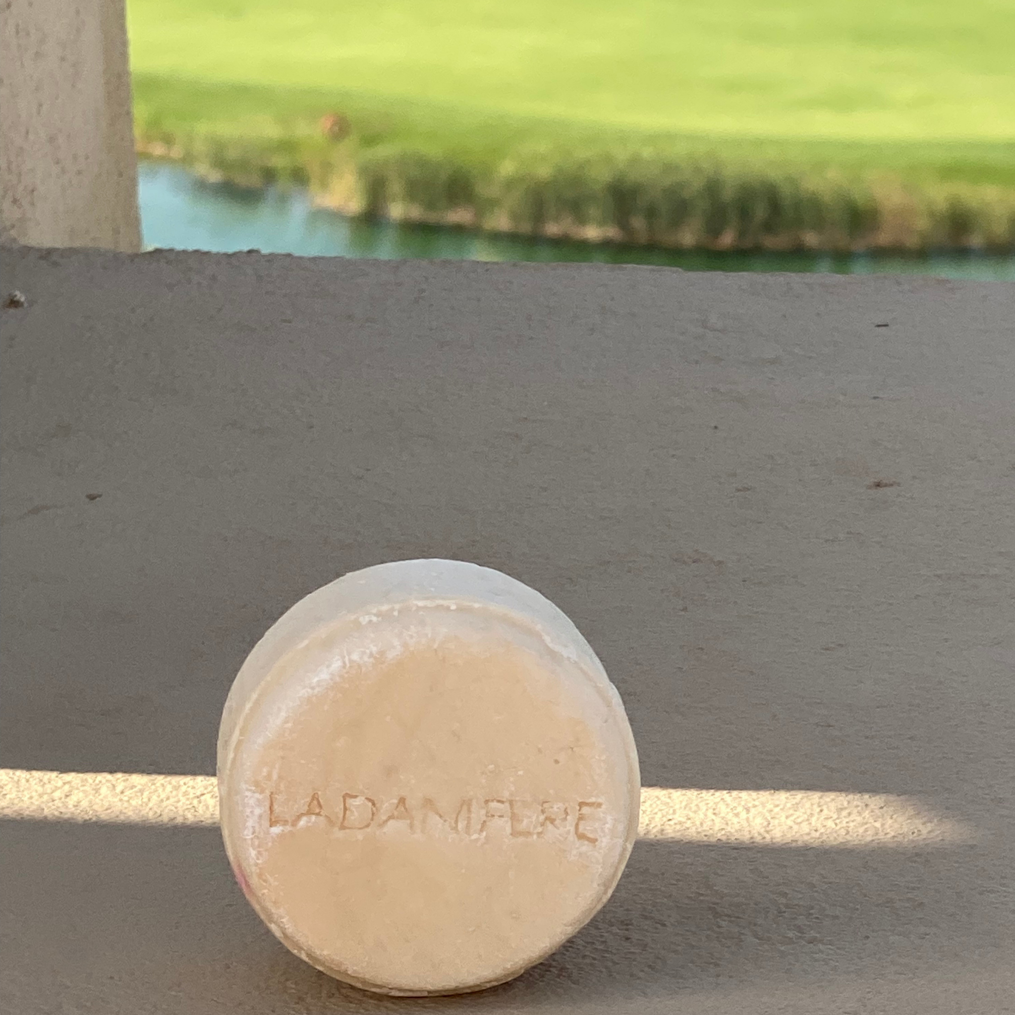 Oat Protein & Palmarosa Shampoo Bar with Vitamin B5 & Chamomile