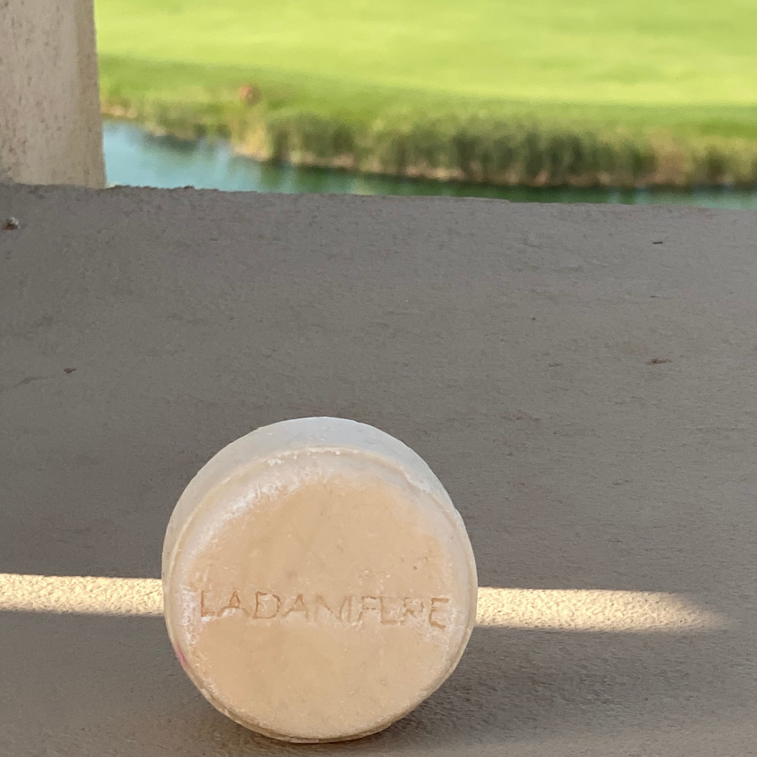 Oat Protein &amp; Palmarosa Shampoo Bar  with Vitamin B5 &amp; Chamomile